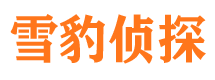 贵池市婚外情调查